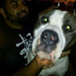 Meet your Posher, Abel